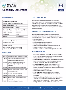 Organizational Capacity Statement Preview